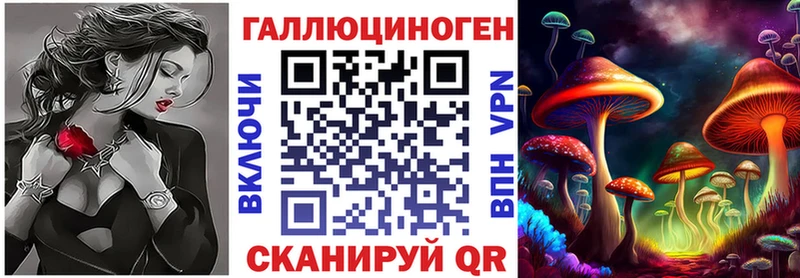 Галлюциногенные грибы Psilocybe  Комсомольск-на-Амуре 